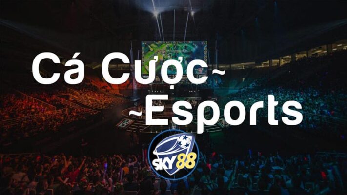 Cá cược Esport Sky88