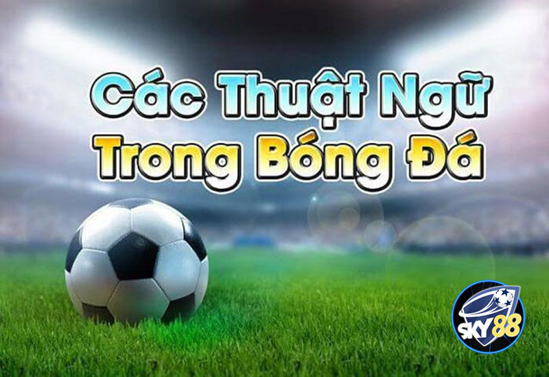 Các thuật ngữ trong cá cược thể thao