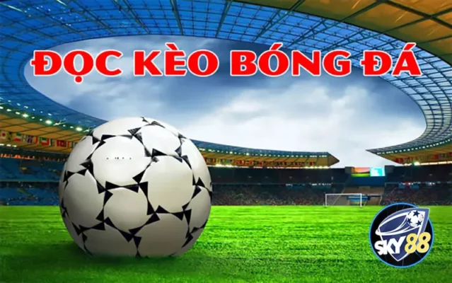 Cách đọc kèo thể thao đúng cách trên Sky88