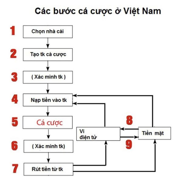 Quy trình cược thể thao trực tuyến