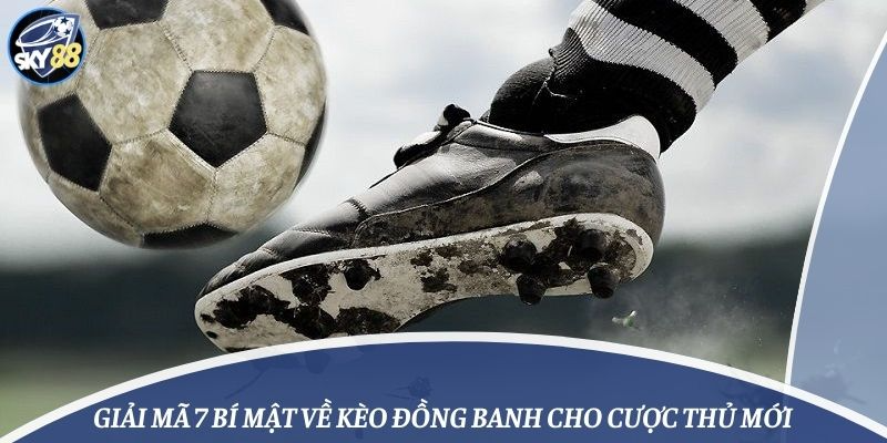 Giải Mã 7 Bí Mật Về Kèo Đồng Banh Cho Cược Thủ Mới